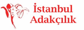 Logo Light