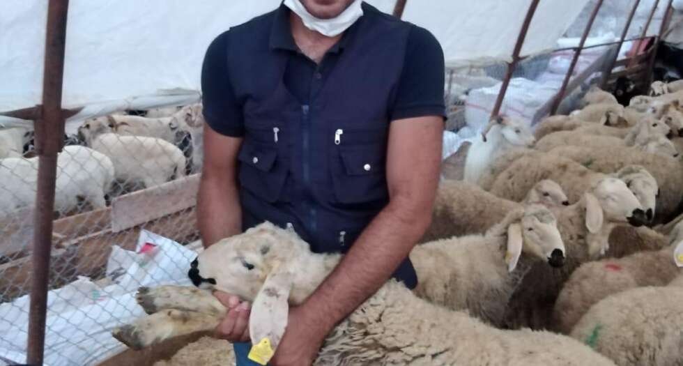 anadolu hisarı adak