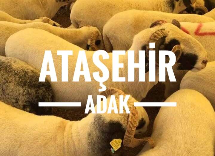 Ataşehir adak